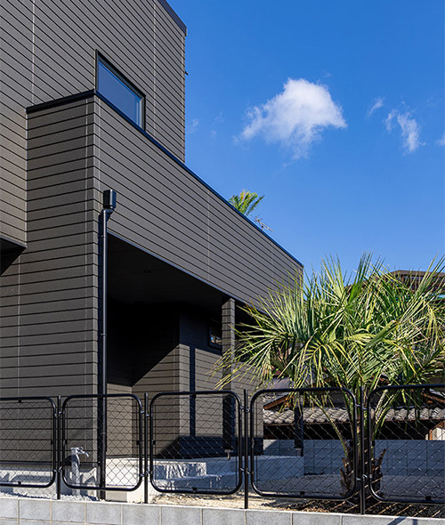 庭先のココスヤシ